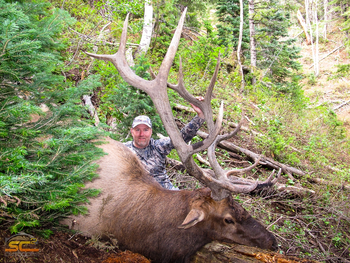 Elk Hunting